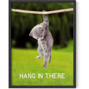 imageHAUS AND HUES Hang in There Cat Poster  Funny Cat Wall Art Cute Posters Motivational Art Print Inspirational Posters Hang in There Poster Black Framed 12quot x 16quotUnframed