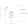 imageHAUS AND HUES Leaf Prints  Set of 6 Botanical Art Eucalyptus Leaves Wall Decor Minimalist Plant ampamp Leaf Prints Beige Frame 8x10Black  White Herbs
