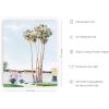 imageHAUS AND HUES Palm Springs Art Wall Decor  Made in the USA  Unframed 12x16 California HouseCalifornia House