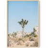 imageHAUS AND HUES Palm Springs Art Wall Decor  Made in the USA  Unframed 12x16 California HouseDesert