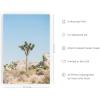imageHAUS AND HUES Palm Springs Art Wall Decor  Made in the USA  Unframed 12x16 California HouseDesert