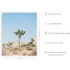 imageHAUS AND HUES Palm Springs Art Wall Decor  Made in the USA  Unframed 12x16 California HouseDesert