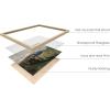imageHAUS AND HUES Sailboat Wall Art  Vintage and Modern Frame Wall Art Collection Nautical wall art Landscape and Antique Inspired Pieces for Every Room Walnut Frame 8x10Petrides