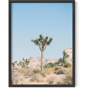 imageHAUS AND HUES Summer Ocean Surf Poster  Coastal Surboard Scene Wall Art  Made in the USA  Unframed 12x16 Aerial SurfDesert