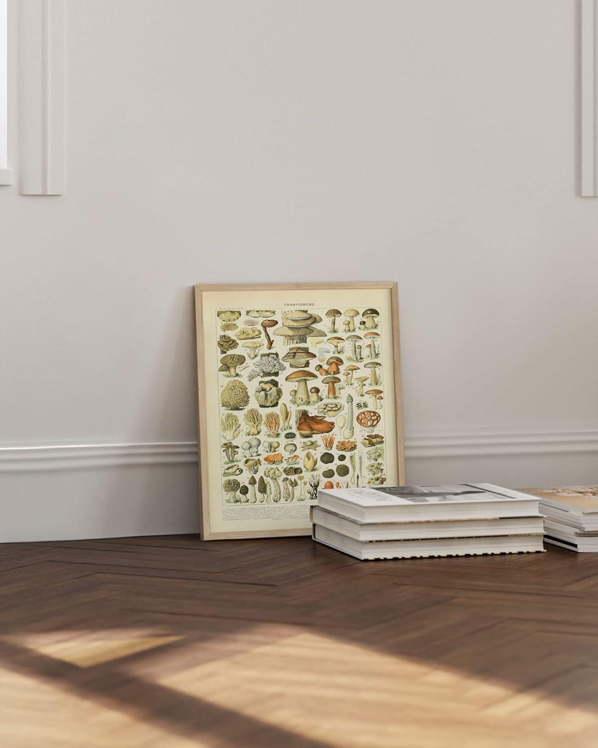 imageHAUS AND HUES Vintage Mushroom Poster  Adolphe Millot Mushroom Wall Art Botanical Print Cottagecore Decor Vintage Plant Poster Black Frame 12x16Mushrooms