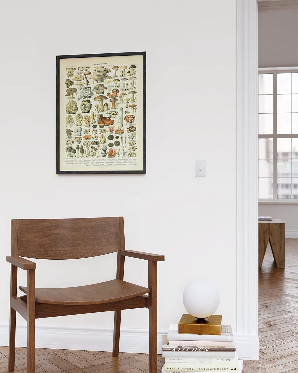 imageHAUS AND HUES Vintage Mushroom Poster  Adolphe Millot Mushroom Wall Art Botanical Print Cottagecore Decor Vintage Plant Poster Black Frame 12x16Mushrooms