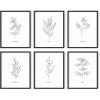 imageHAUS AND HUES Kitchen Herbs Wall Art  Herb Art Prints Kitchen Signs ampamp Decor Herb Prints for Kitchen Wall Unframed 11x14Black  White Herbs