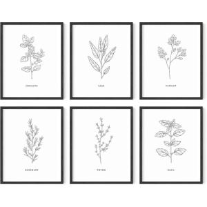 imageHAUS AND HUES Vintage Flower Posters and Prints  Set of 6 Wildflower Wall Art Botanical Plant Prints Vintage Floral Art Nature Wall Decor Unframed 16x20Black  White Herbs