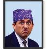 imageHAUS AND HUES The Office Dwight Schrute Poster TV Show Wall Art Funny Posters Merchandise Framed Beige 12x16Prison Mike