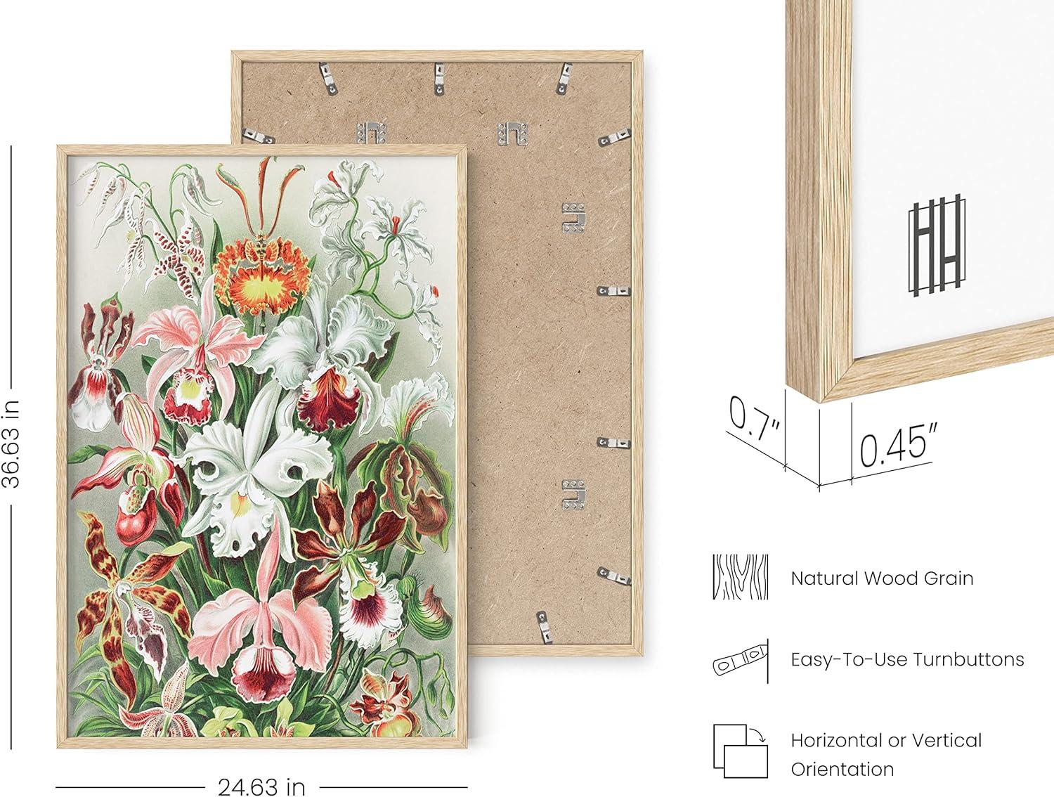 imageHAUS AND HUES Ernst Haeckel Poster  Vintage Botanical Print Flower ampamp Plant Wall Art Cottagecore Decor Haeckel Art Print Beige Frame 24x36 BushFlower