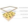 imageHAUS AND HUES Butterfly Picture Wall Decor  Aesthetic Poster for Room Yellow Wall Art Butterfly Print for Bedroom 16x20 UnframedYellow Butterflies