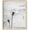 imageHAUS AND HUES Dandelion Wall Art  Vintage Botanical Print for Living Room Unframed 16x20Dandelion