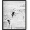 imageHAUS AND HUES Dandelion Wall Art  Vintage Botanical Print for Living Room Unframed 16x20Dandelion
