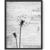 imageHAUS AND HUES Dandelion Wall Art  Vintage Botanical Print for Living Room Unframed 16x20Dandelion