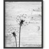 imageHAUS AND HUES Dandelion Wall Art  Vintage Botanical Print for Living Room Unframed 16x20Dandelion