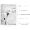 imageHAUS AND HUES Dandelion Wall Art  Vintage Botanical Print for Living Room Unframed 16x20Dandelion