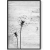 imageHAUS AND HUES Dandelion Wall Art  Vintage Botanical Print for Living Room Unframed 16x20Dandelion