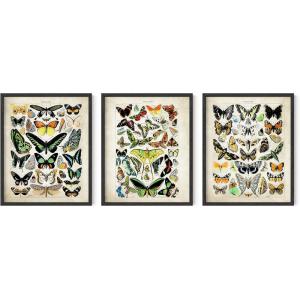 imageHAUS AND HUES Boho Framed Wall Art  Set of 3 Mid Century Modern Art Terracotta Wall Decor Framed Geometric Wall Art Orange Polygon Poster Earth Tone Pictures 16quotx20quot Framed BlackAdolphe Butterfly