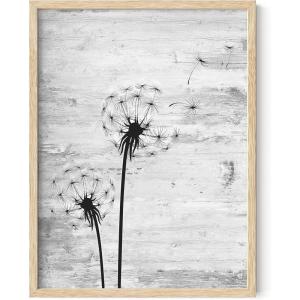 imageHAUS AND HUES Dandelion Wall Art  Vintage Botanical Print for Living Room Unframed 16x20Dandelion