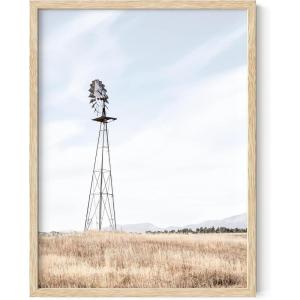imageHAUS AND HUES Dandelion Wall Art  Vintage Botanical Print for Living Room Unframed 16x20Washed Windmill