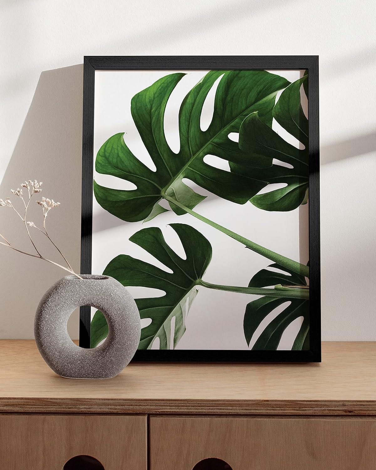 imageHAUS AND HUES Botanical Wall Art  Succulent and Cactus Prints Flower Pot Artwork for Home or Office Decor Beige Frame 16x20Monstera
