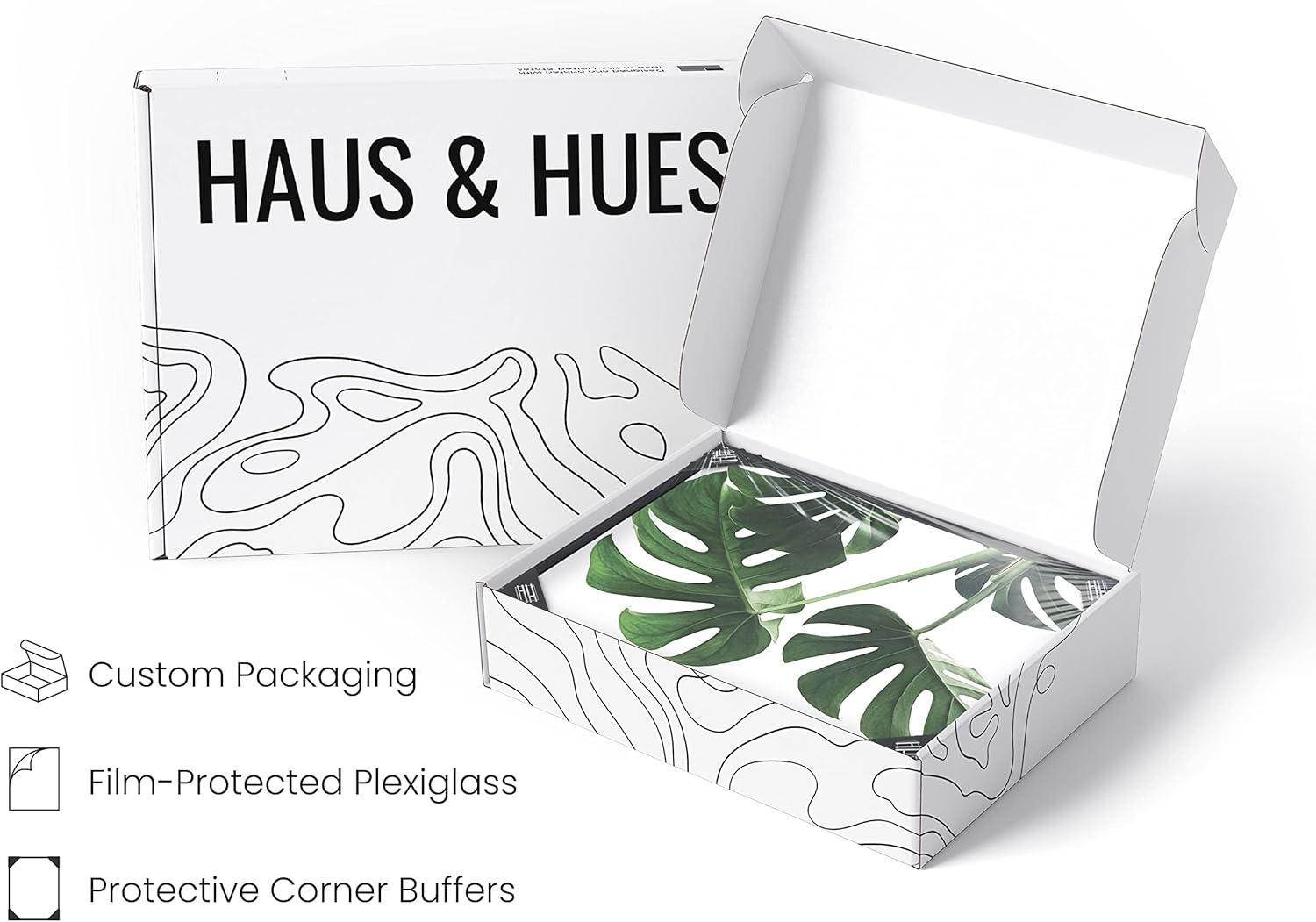 imageHAUS AND HUES Botanical Wall Art  Succulent and Cactus Prints Flower Pot Artwork for Home or Office Decor Beige Frame 16x20Monstera