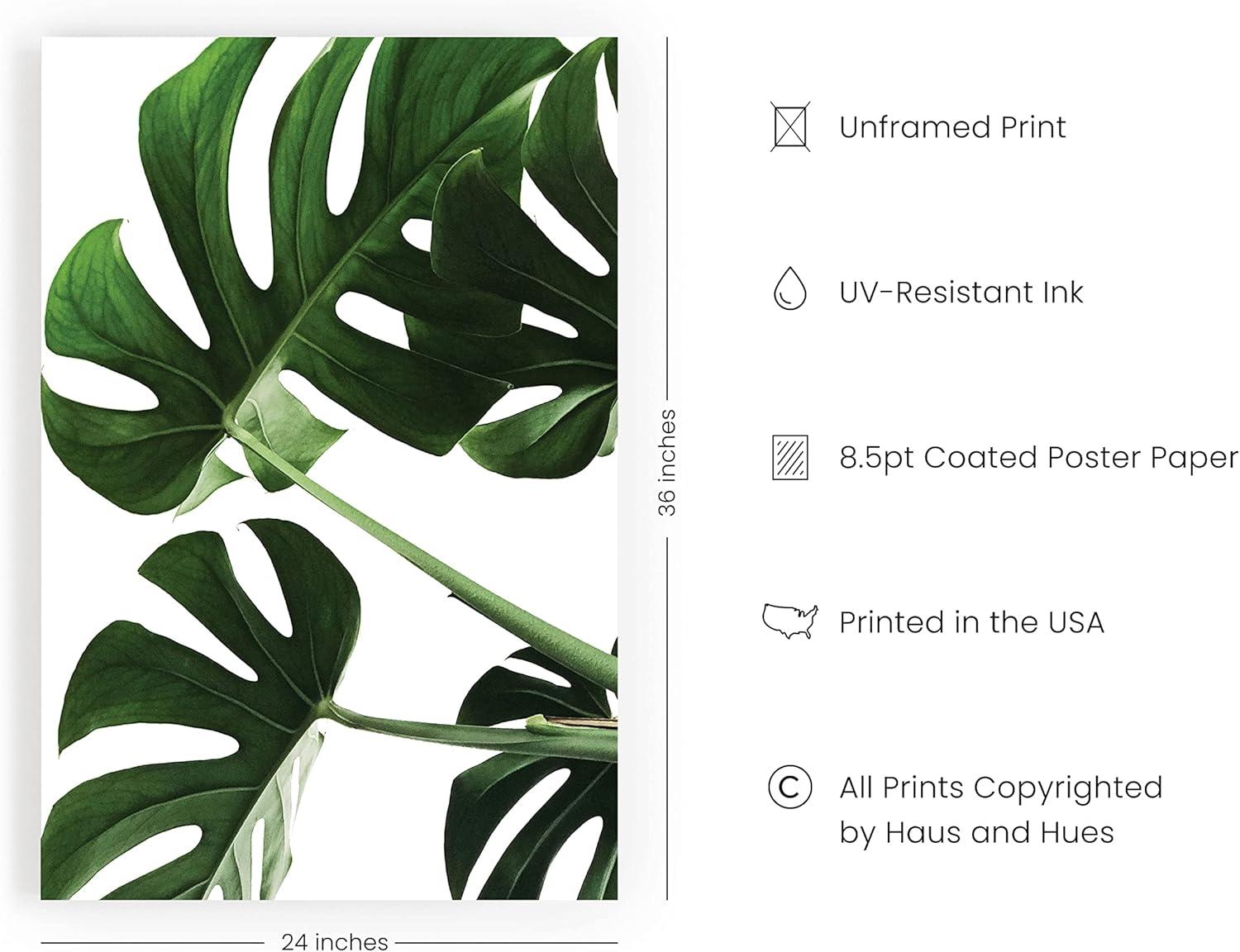 imageHAUS AND HUES Botanical Wall Art  Succulent and Cactus Prints Flower Pot Artwork for Home or Office Decor Beige Frame 16x20Monstera