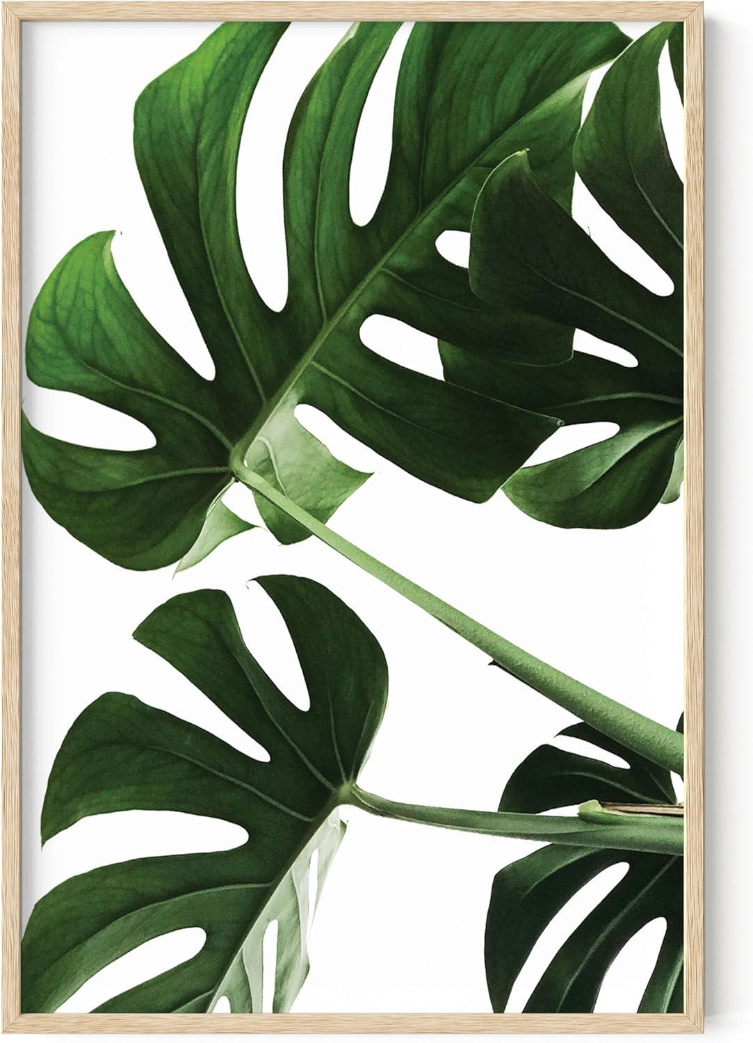 imageHAUS AND HUES Botanical Wall Art  Succulent and Cactus Prints Flower Pot Artwork for Home or Office Decor Beige Frame 16x20Monstera