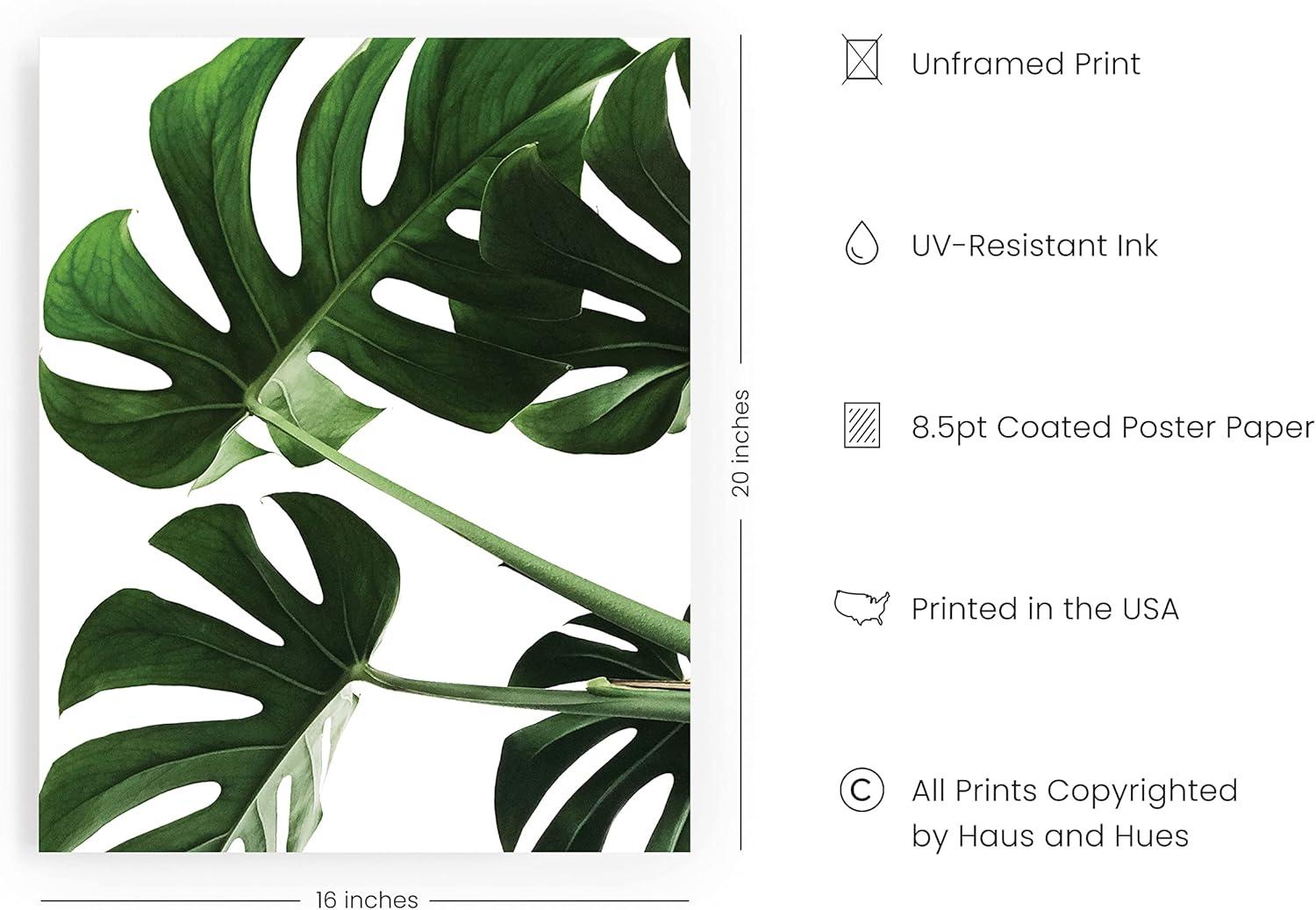 imageHAUS AND HUES Botanical Wall Art  Succulent and Cactus Prints Flower Pot Artwork for Home or Office Decor Beige Frame 16x20Monstera