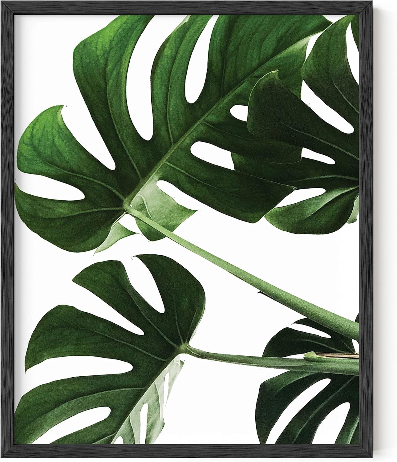 imageHAUS AND HUES Botanical Wall Art  Succulent and Cactus Prints Flower Pot Artwork for Home or Office Decor Beige Frame 16x20Monstera