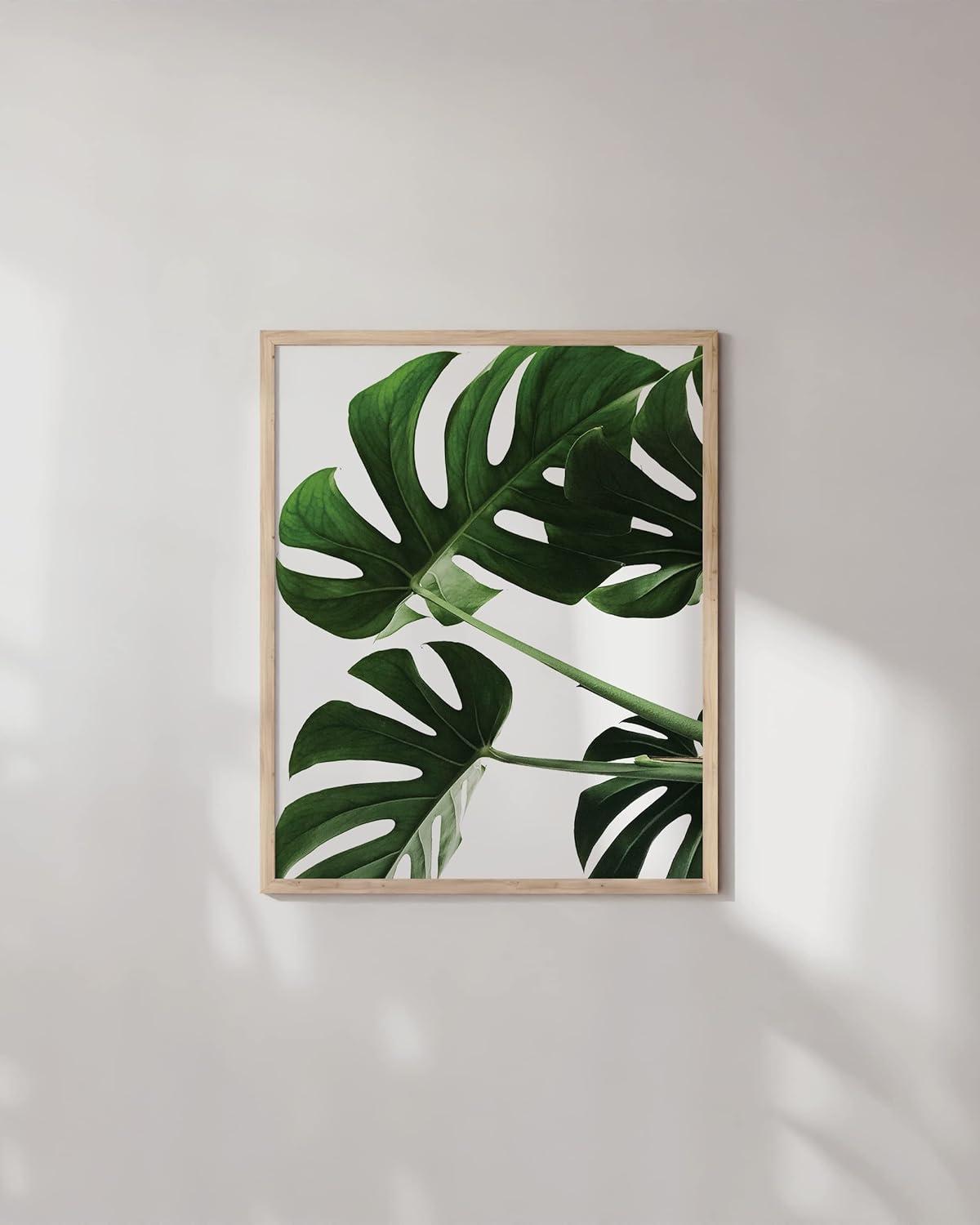 imageHAUS AND HUES Botanical Wall Art  Succulent and Cactus Prints Flower Pot Artwork for Home or Office Decor Beige Frame 16x20Monstera