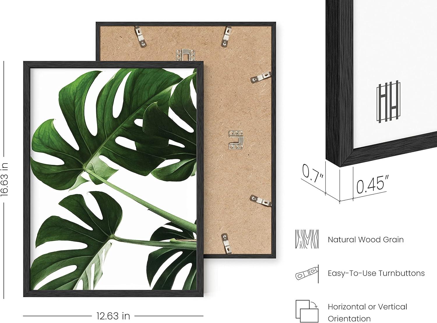 imageHAUS AND HUES Botanical Wall Art  Succulent and Cactus Prints Flower Pot Artwork for Home or Office Decor Beige Frame 16x20Monstera