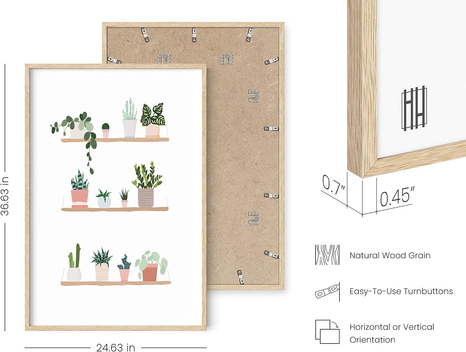 imageHAUS AND HUES Botanical Wall Art  Succulent and Cactus Prints Flower Pot Artwork for Home or Office Decor Beige Frame 16x20Pots on Shelves