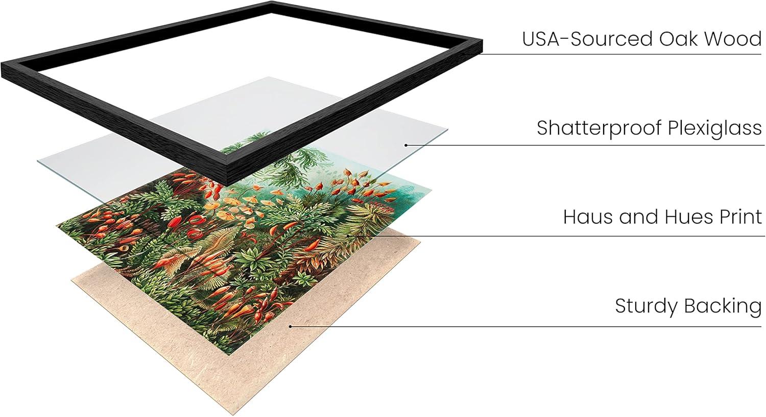 imageHAUS AND HUES Ernst Haeckel Poster  Vintage Botanical Print Flower ampamp Plant Wall Art Cottagecore Decor Haeckel Art Print Black Frame 12x16Bush