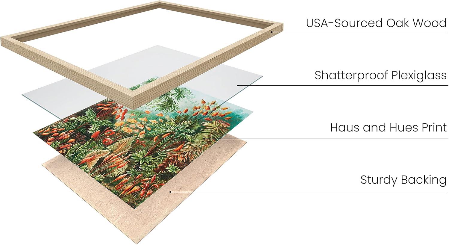 imageHAUS AND HUES Ernst Haeckel Poster  Vintage Botanical Print Flower ampamp Plant Wall Art Cottagecore Decor Haeckel Art Print Black Frame 12x16Bush