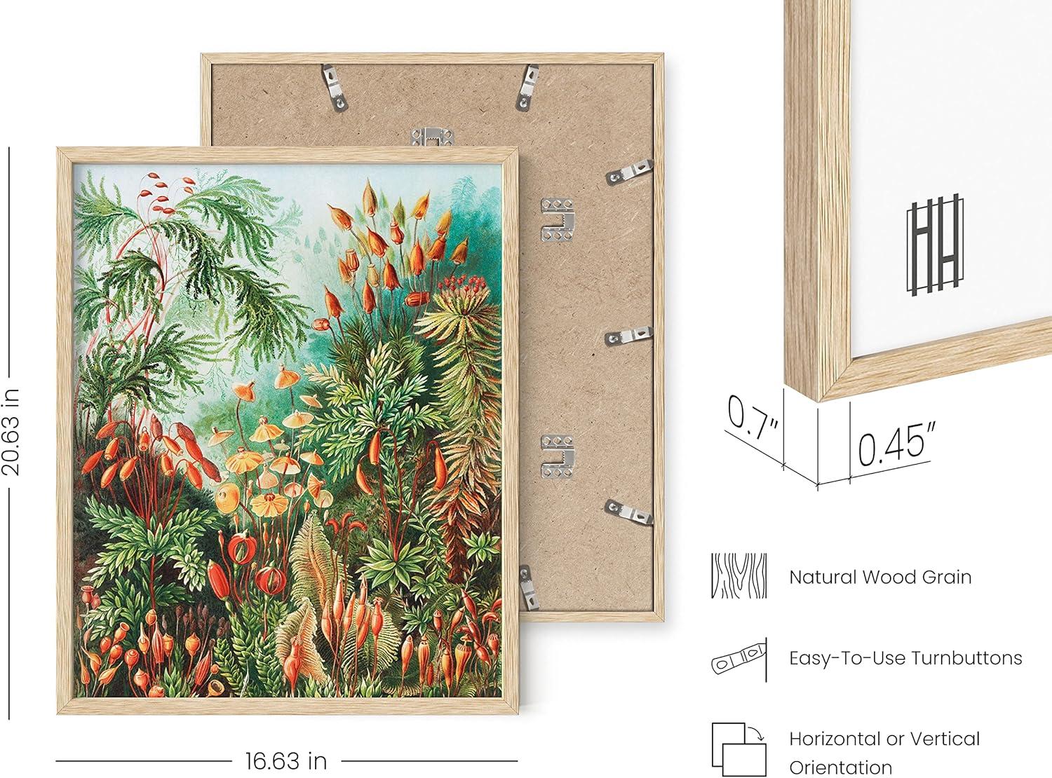 imageHAUS AND HUES Ernst Haeckel Poster  Vintage Botanical Print Flower ampamp Plant Wall Art Cottagecore Decor Haeckel Art Print Black Frame 12x16Bush