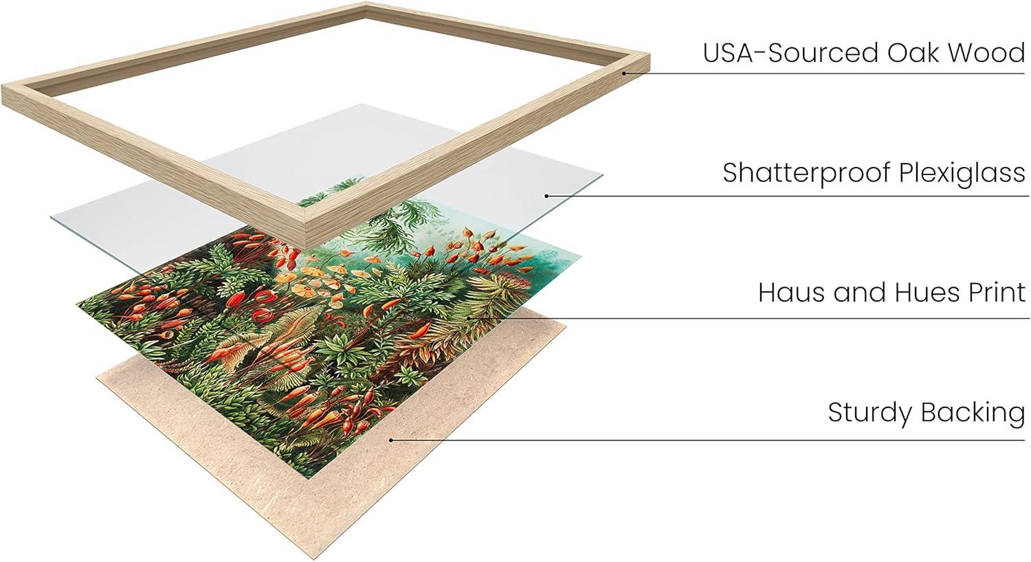 imageHAUS AND HUES Ernst Haeckel Poster  Vintage Botanical Print Flower ampamp Plant Wall Art Cottagecore Decor Haeckel Art Print Black Frame 12x16Bush