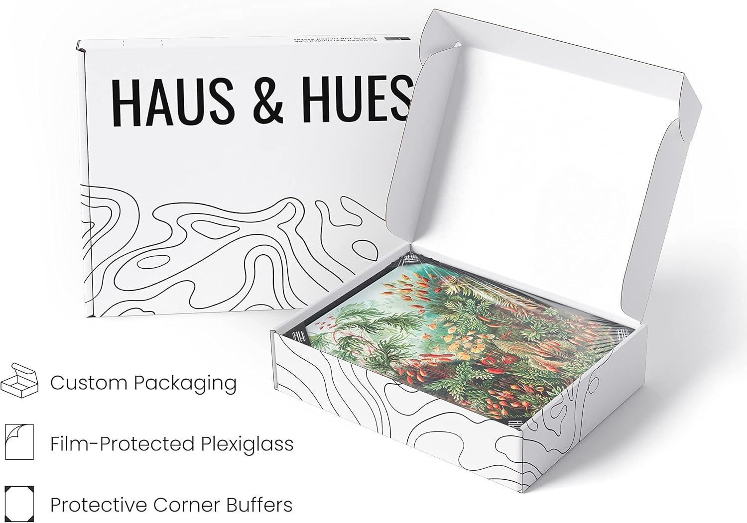 imageHAUS AND HUES Ernst Haeckel Poster  Vintage Botanical Print Flower ampamp Plant Wall Art Cottagecore Decor Haeckel Art Print Black Frame 12x16Bush