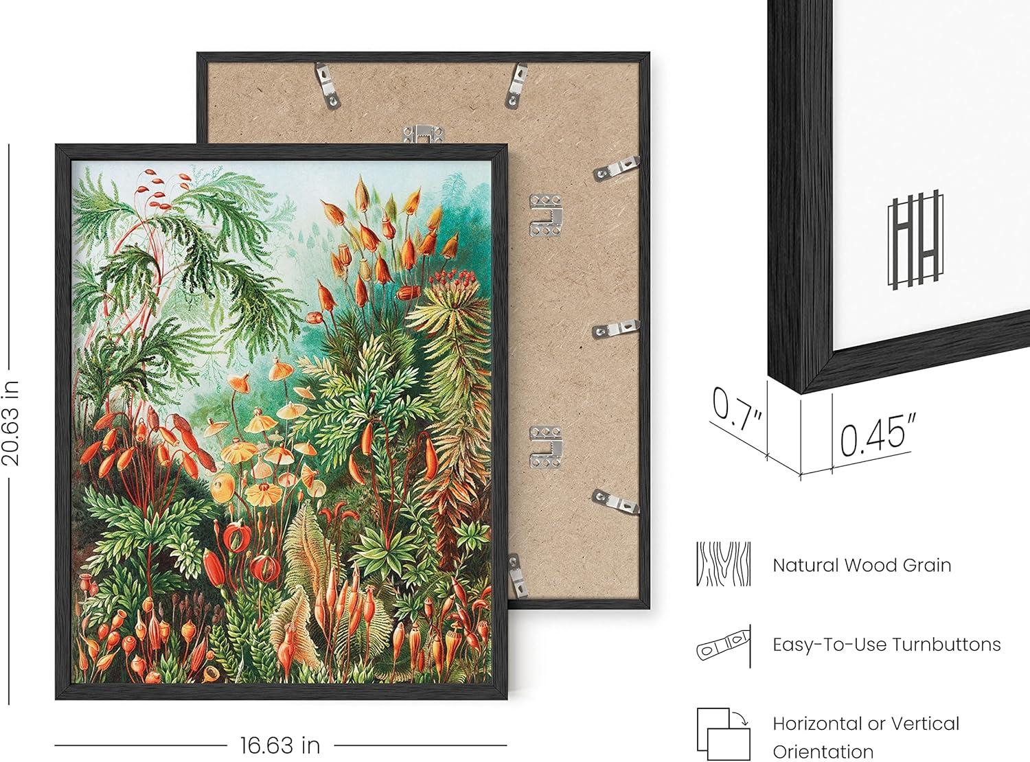 imageHAUS AND HUES Ernst Haeckel Poster  Vintage Botanical Print Flower ampamp Plant Wall Art Cottagecore Decor Haeckel Art Print Black Frame 12x16Bush