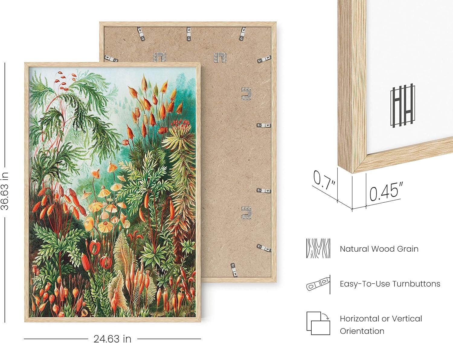 imageHAUS AND HUES Ernst Haeckel Poster  Vintage Botanical Print Flower ampamp Plant Wall Art Cottagecore Decor Haeckel Art Print Black Frame 12x16Bush