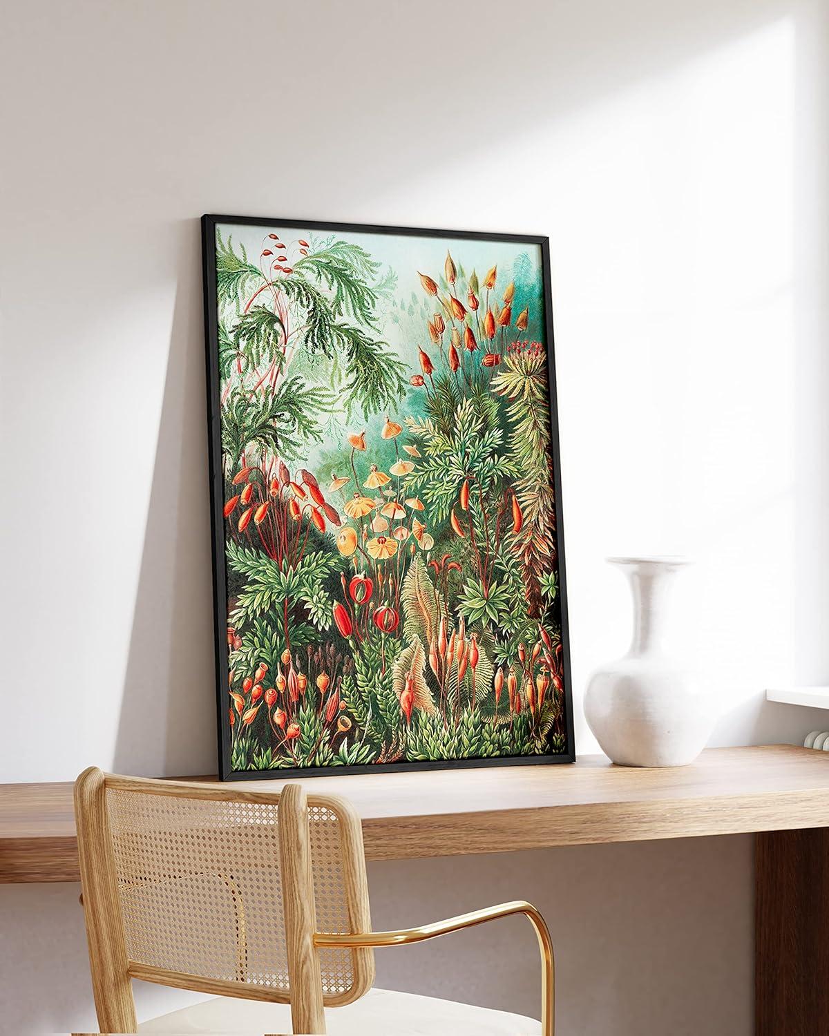 imageHAUS AND HUES Ernst Haeckel Poster  Vintage Botanical Print Flower ampamp Plant Wall Art Cottagecore Decor Haeckel Art Print Black Frame 12x16Bush