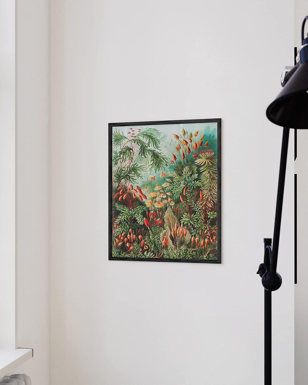 imageHAUS AND HUES Ernst Haeckel Poster  Vintage Botanical Print Flower ampamp Plant Wall Art Cottagecore Decor Haeckel Art Print Black Frame 12x16Bush