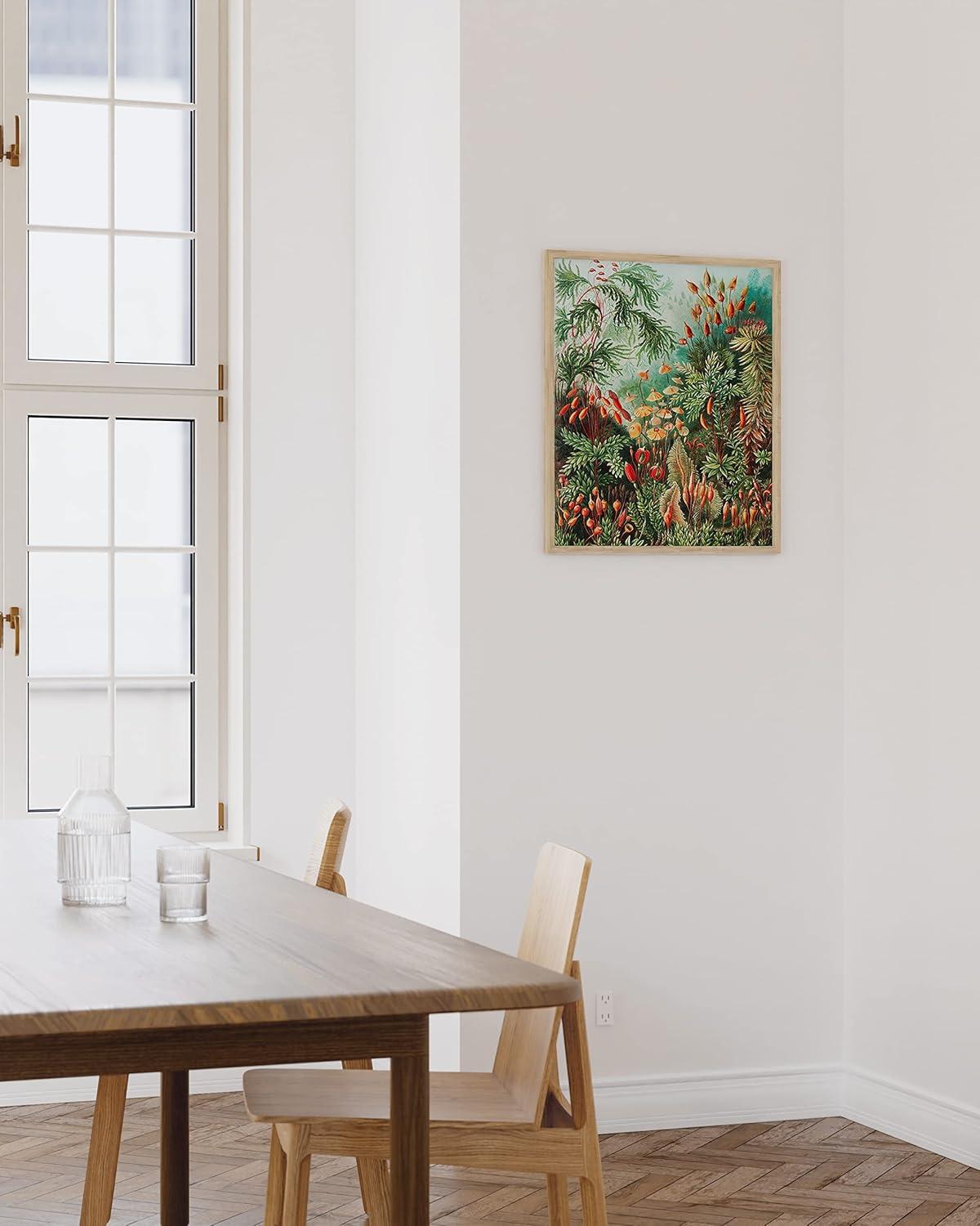 imageHAUS AND HUES Ernst Haeckel Poster  Vintage Botanical Print Flower ampamp Plant Wall Art Cottagecore Decor Haeckel Art Print Black Frame 12x16Bush