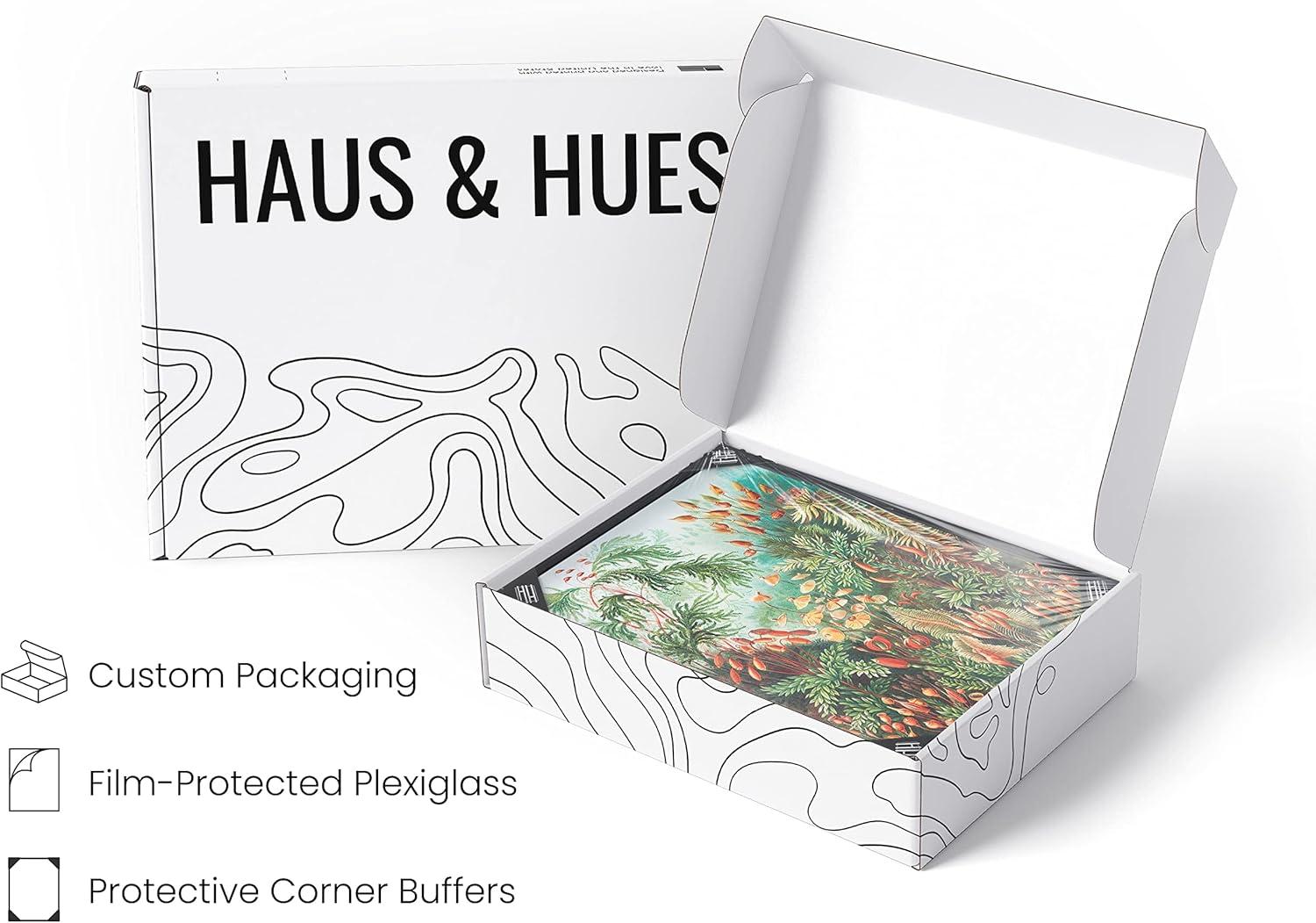 imageHAUS AND HUES Ernst Haeckel Poster  Vintage Botanical Print Flower ampamp Plant Wall Art Cottagecore Decor Haeckel Art Print Black Frame 12x16Bush