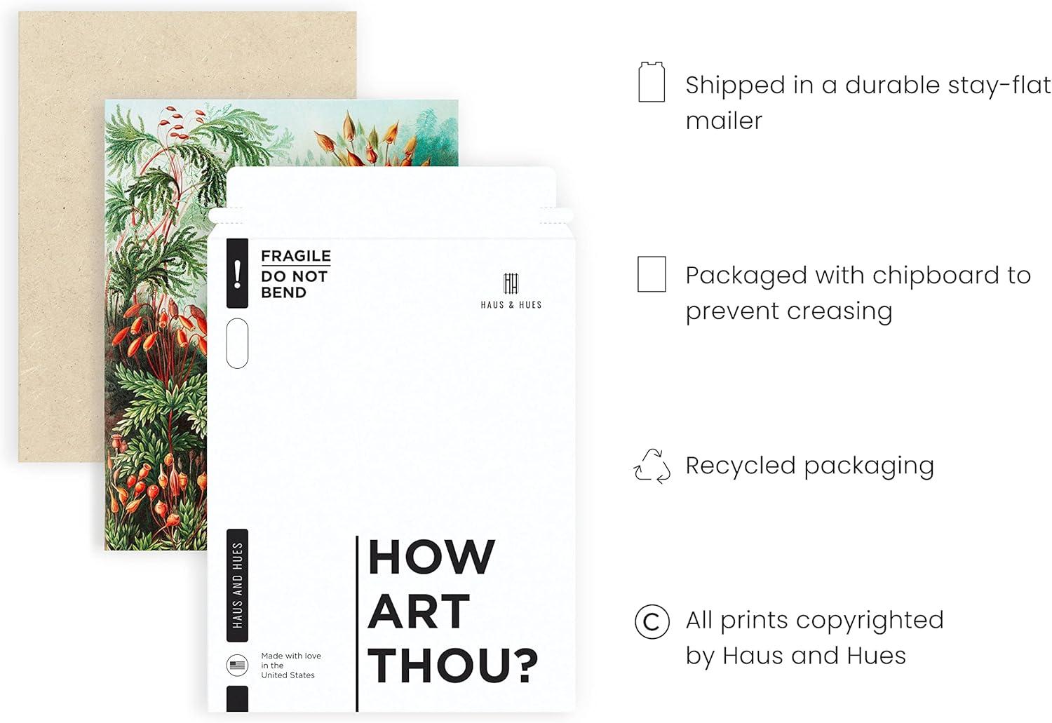 imageHAUS AND HUES Ernst Haeckel Poster  Vintage Botanical Print Flower ampamp Plant Wall Art Cottagecore Decor Haeckel Art Print Black Frame 12x16Bush