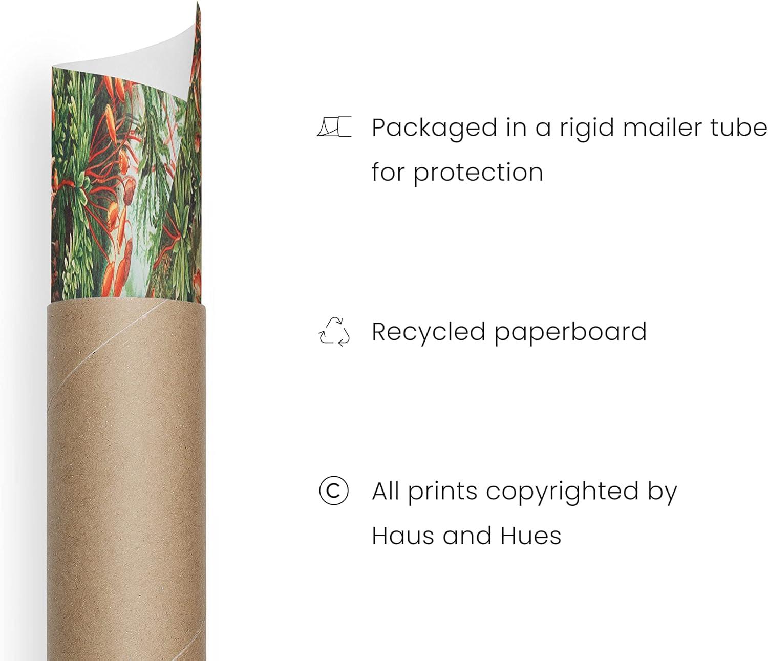 imageHAUS AND HUES Ernst Haeckel Poster  Vintage Botanical Print Flower ampamp Plant Wall Art Cottagecore Decor Haeckel Art Print Black Frame 12x16Bush