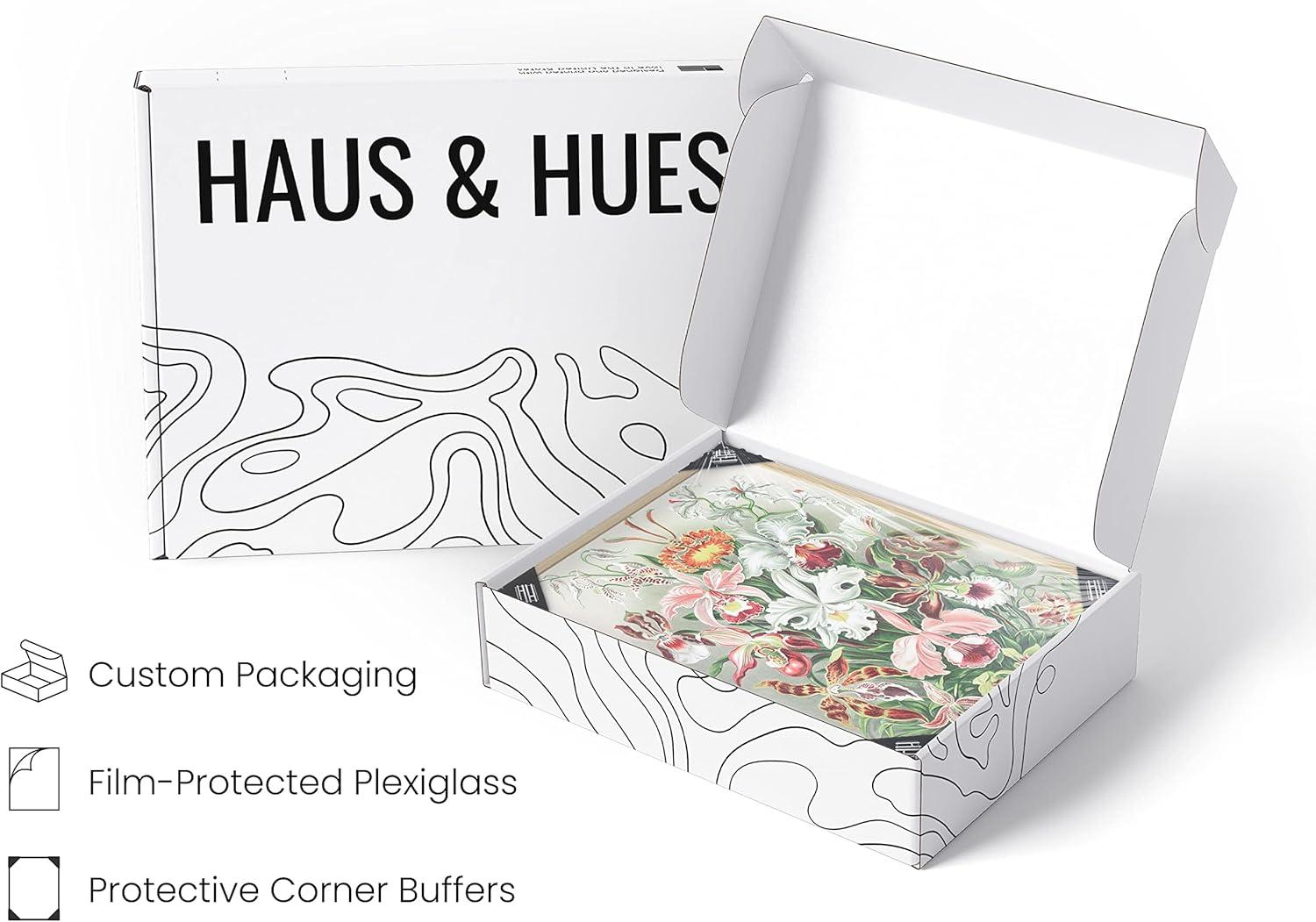 imageHAUS AND HUES Ernst Haeckel Poster  Vintage Botanical Print Flower ampamp Plant Wall Art Cottagecore Decor Haeckel Art Print Black Frame 12x16Flower