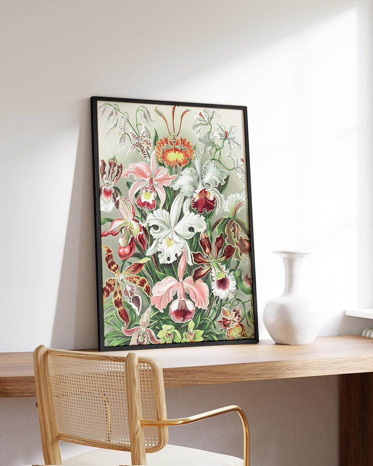 imageHAUS AND HUES Ernst Haeckel Poster  Vintage Botanical Print Flower ampamp Plant Wall Art Cottagecore Decor Haeckel Art Print Black Frame 12x16Flower