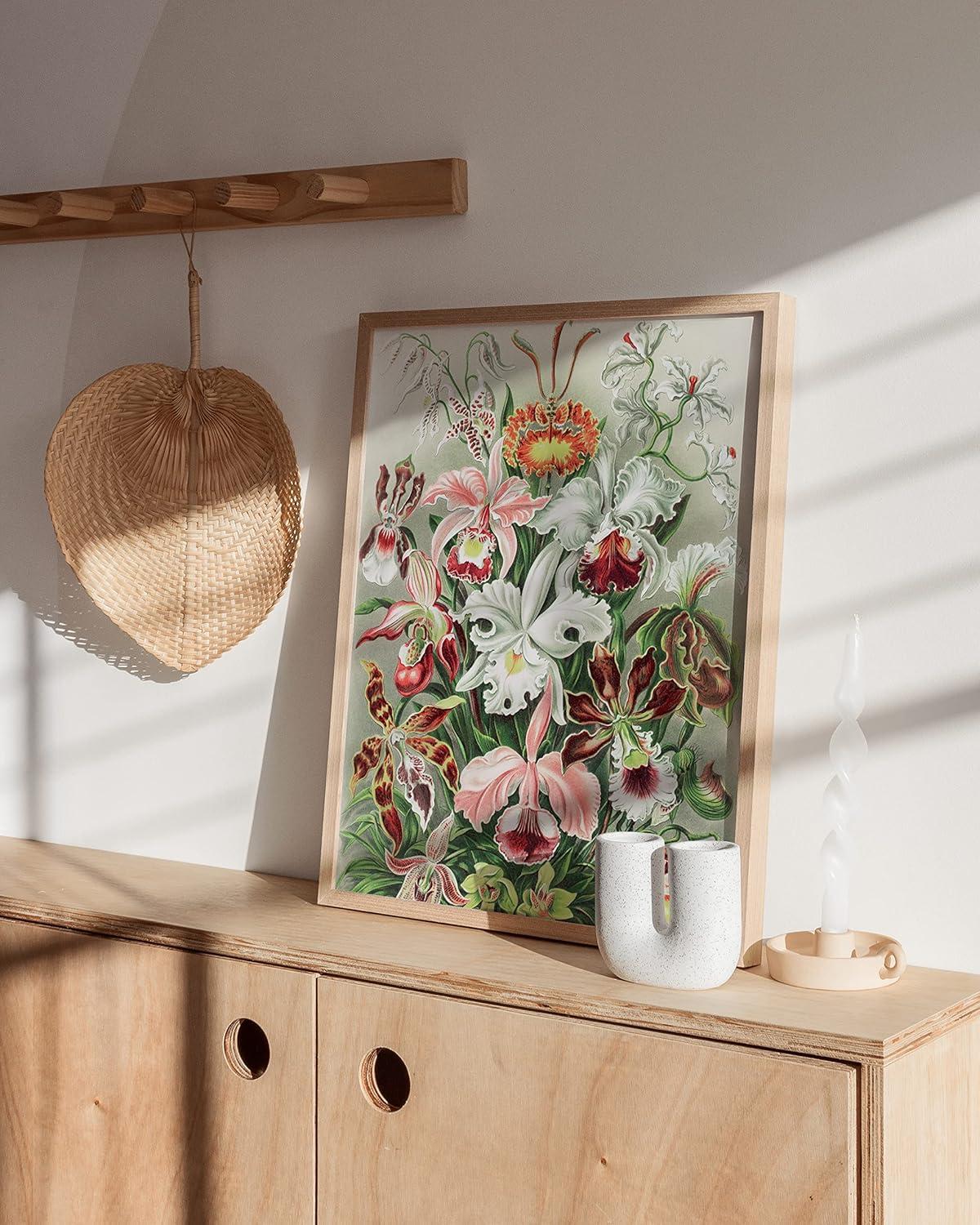 imageHAUS AND HUES Ernst Haeckel Poster  Vintage Botanical Print Flower ampamp Plant Wall Art Cottagecore Decor Haeckel Art Print Black Frame 12x16Flower