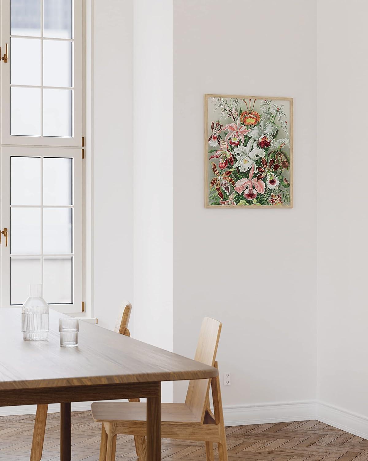 imageHAUS AND HUES Ernst Haeckel Poster  Vintage Botanical Print Flower ampamp Plant Wall Art Cottagecore Decor Haeckel Art Print Black Frame 12x16Flower